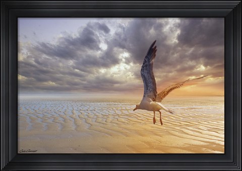 Framed Soft Sunrise on the Beach 5 Print
