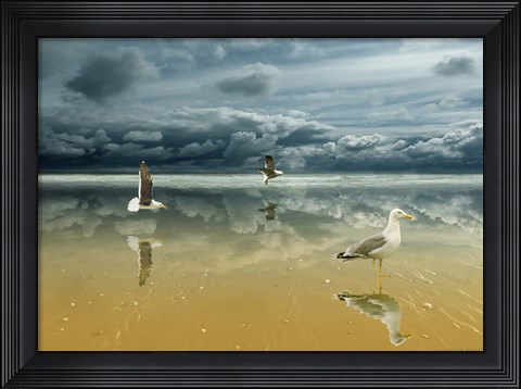 Framed Seagulls on the Beach Print