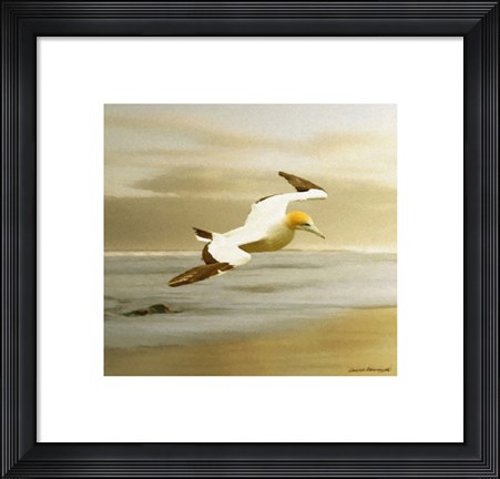 Framed Alcatraz Print