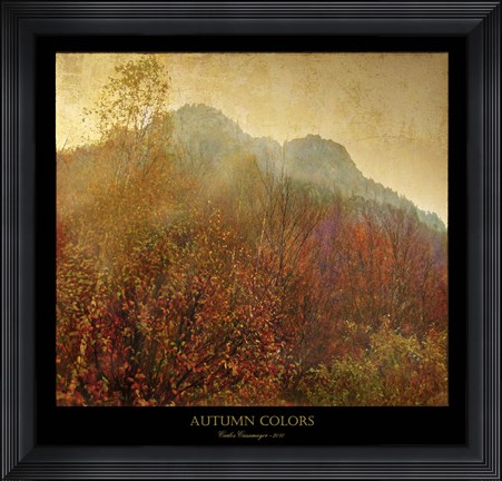 Framed Autumn Colors 2 Print