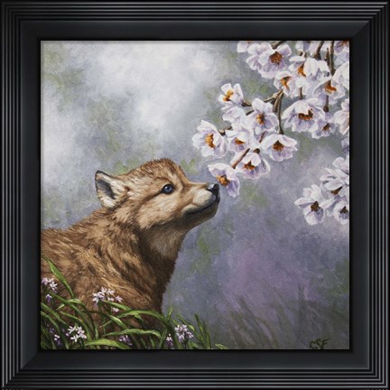 Framed Baby Blossoms Print