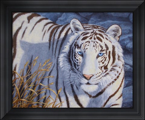 Framed Crystal Eyes Print