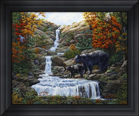 Framed Black Bear Falls Print