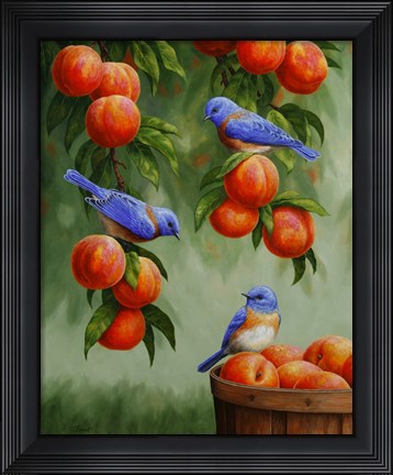 Framed Bluebirds and Peaches Print