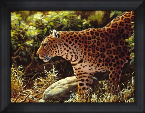 Framed On The Prowl Print