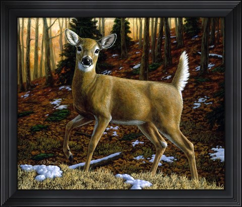 Framed Alerted Print