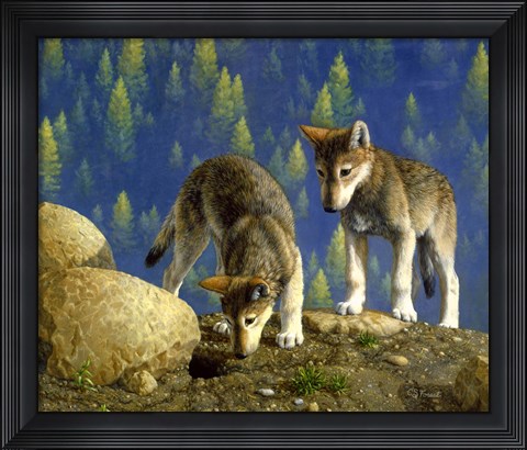 Framed Anybody Home? Print