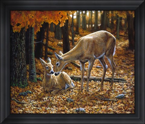 Framed Autumn Innocence II Print