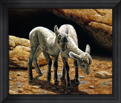 Framed Baby Bighorns Print