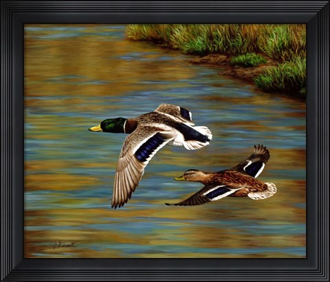 Framed Golden Pond Print