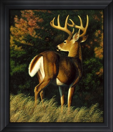 Framed Indecision Print
