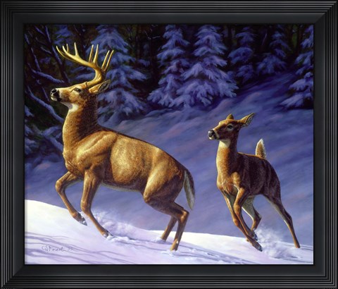 Framed Startled Print
