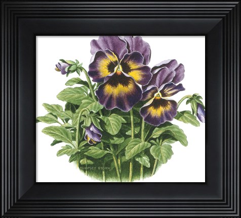 Framed Lavender Faces Print