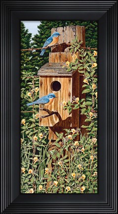 Framed Summer Blues Print