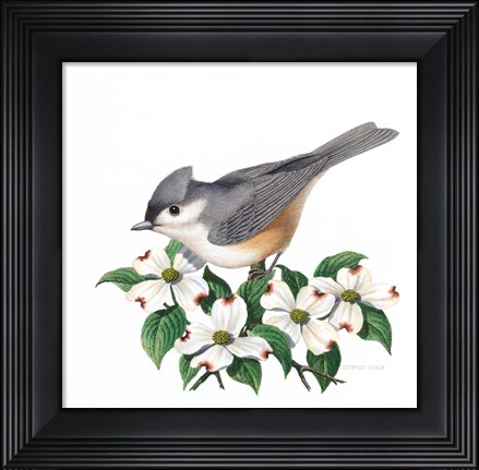 Framed Studio Friends - Titmouse Print