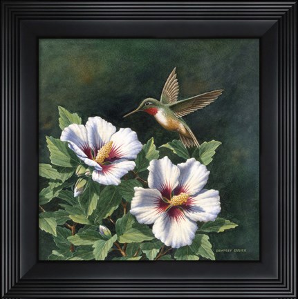 Framed Hummer&#39;s Choice Print