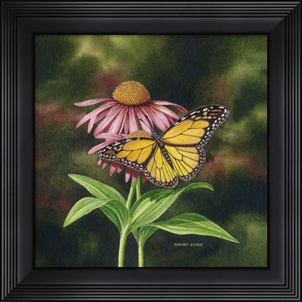 Framed Coneflower of Choice 2 Print
