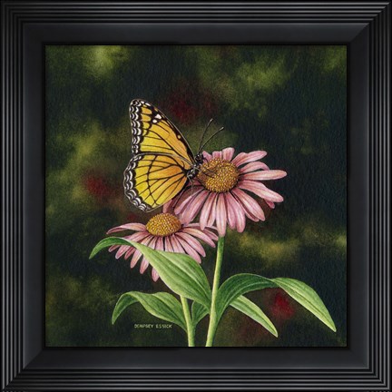 Framed Coneflower of Choice 1 Print