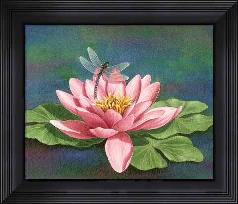 Framed Dragonlily Print