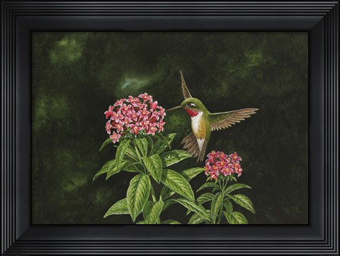 Framed Choice Pentas II Print