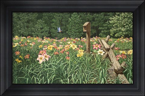 Framed Daylily Days Print