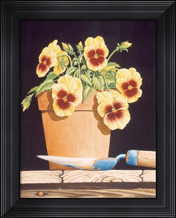 Framed Potted Pansies Print