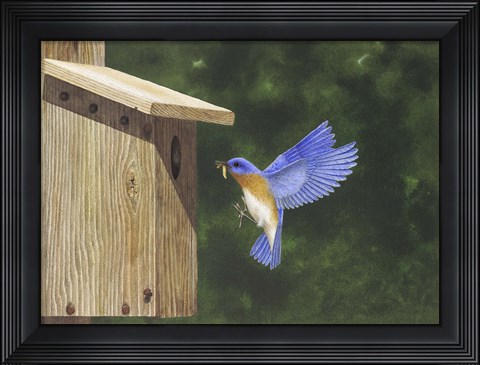 Framed Cleared to Land Print