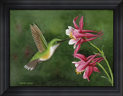 Framed Lady&#39;s Choice Print