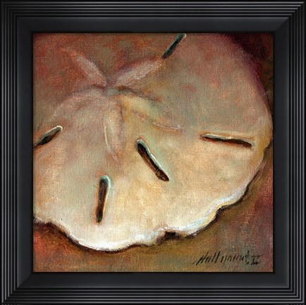 Framed Sand Dollar Print