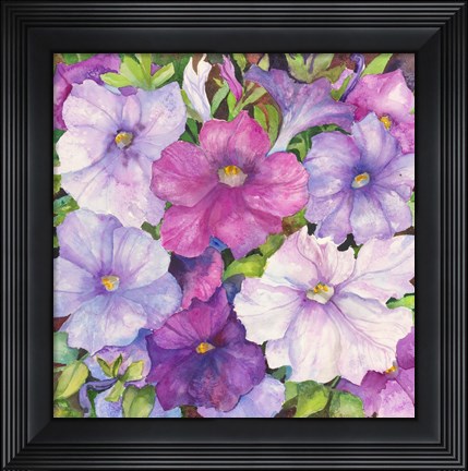 Framed Petunias Print