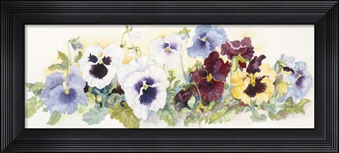 Framed Pansies On Parade Print