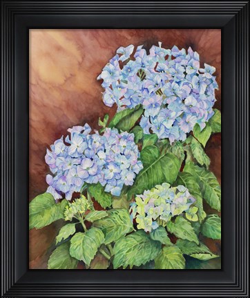 Framed Blue Hydrangeas Print