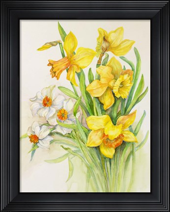Framed Daffodils- Springs Calling Card Print