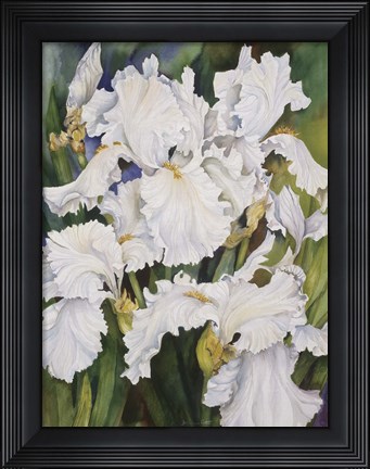 Framed White Iris Print