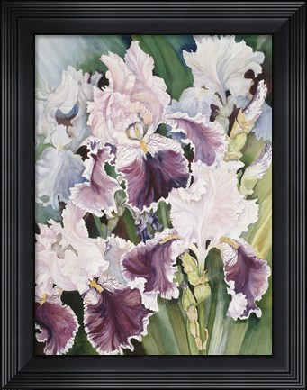 Framed Ruffled Burgundy Iris&#39; Print
