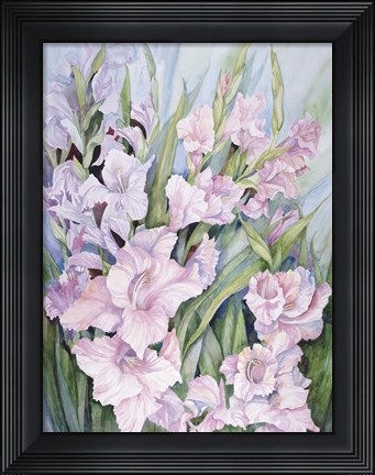 Framed Gladiolus Print