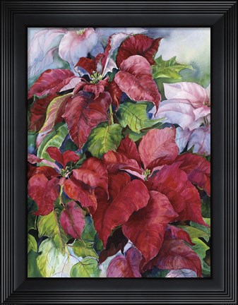Framed Pointesettia Print