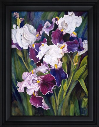 Framed Wind Blown Iris Print