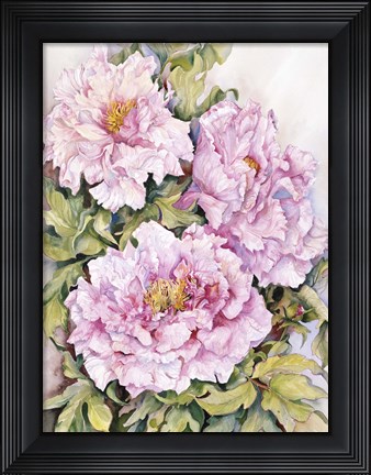 Framed Peonies 2 Print