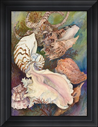 Framed Collected Shells Print