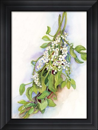 Framed Mistletoe Print