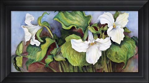 Framed Woodland Trillium A Print