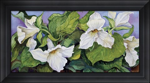 Framed Woodland Trillium B Print