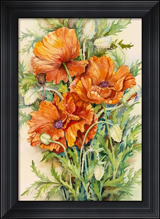 Framed Cluster of Poppies Print