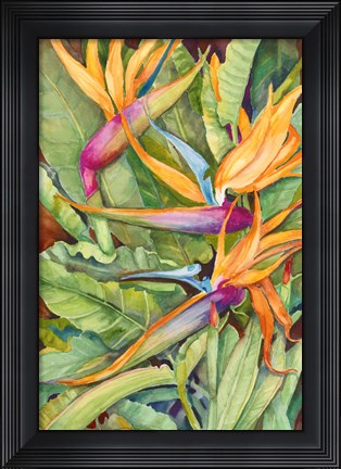 Framed Birds Of Paradise Print