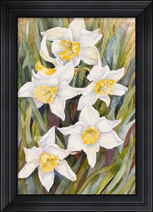 Framed Daffodil Heads Print