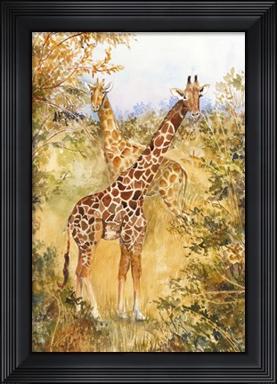 Framed Giraffes Print