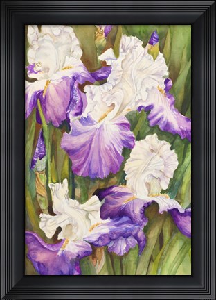 Framed Lavender Iris Print