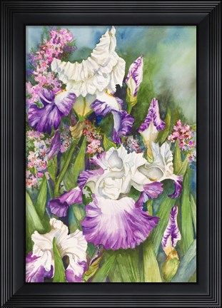 Framed Iris Garden Print