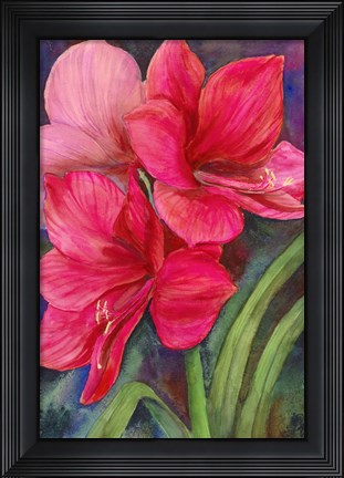 Framed Betty&#39;s Amaryllis Print